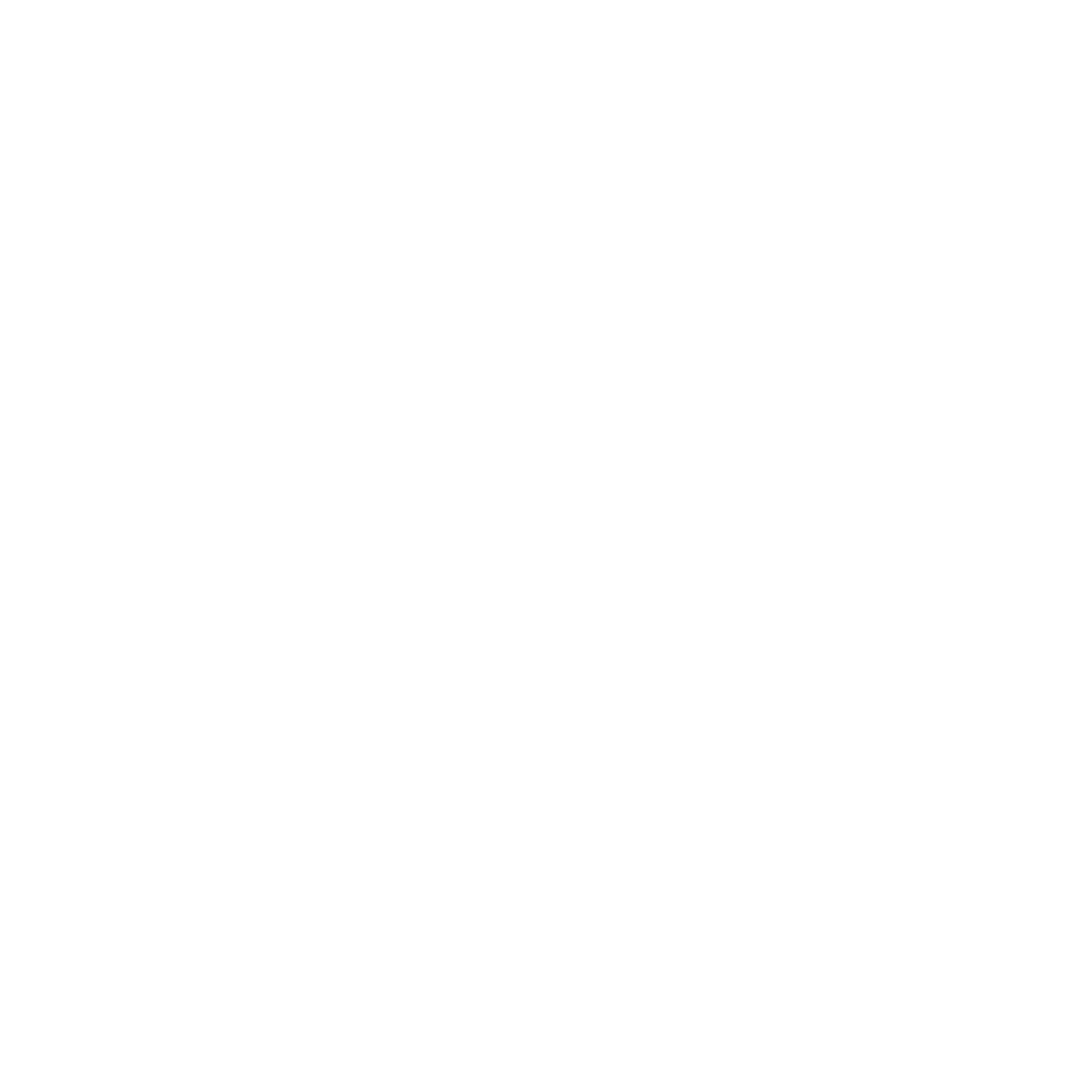 The Hills International Logo